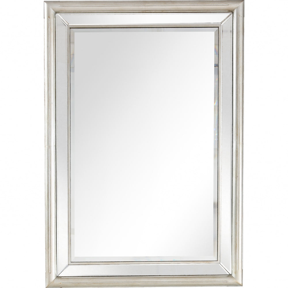 Homeroots 44" Silver Framed Accent Mirror  Glass 396643