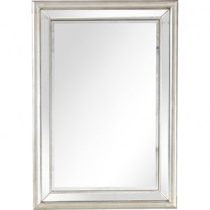 Homeroots 44" Silver Framed Accent Mirror  Glass 396643