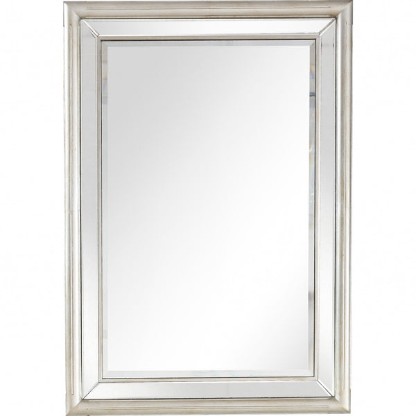 Homeroots 44" Silver Framed Accent Mirror  Glass 396643