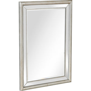 Homeroots 44" Silver Framed Accent Mirror  Glass 396643