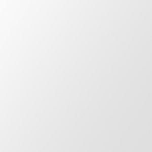 Homeroots 45" Silver Framed Accent Mirror  Glass 396656