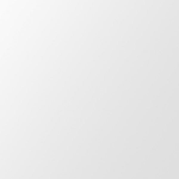 Homeroots 45" Silver Framed Accent Mirror  Glass 396656