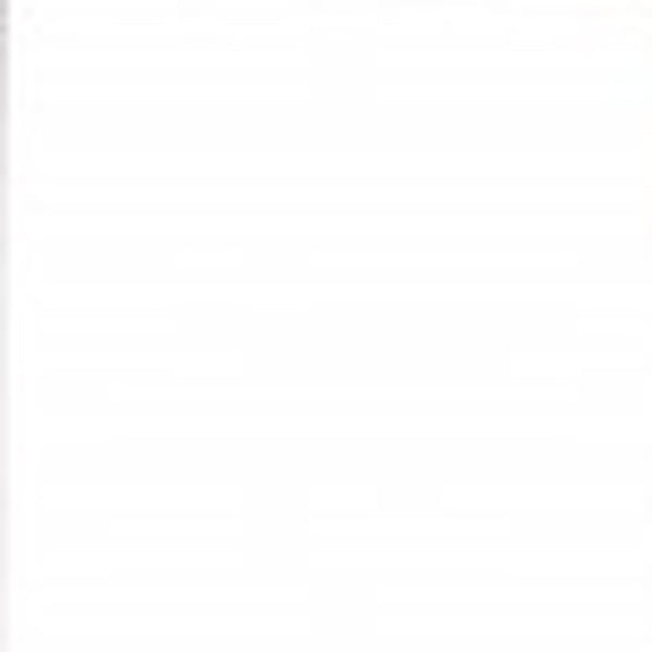 Homeroots 42" Silver Metal Framed Accent Mirror  Glass 396657