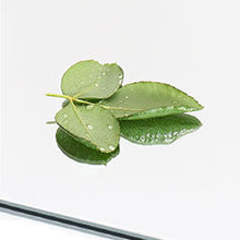 Homeroots Freestanding Silver Full-length Floor Mirror Silver Glass 397133