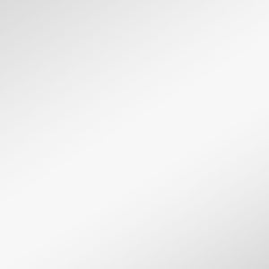 Homeroots Narrow Gold Rectangular Wall Mirror  Glass 397145