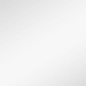 Homeroots Narrow Gold Rectangular Wall Mirror  Glass 397145