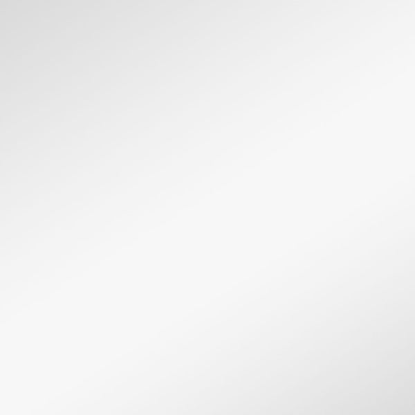 Homeroots Narrow Gold Rectangular Wall Mirror  Glass 397145