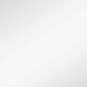 Homeroots Narrow Gold Rectangular Wall Mirror  Glass 397145