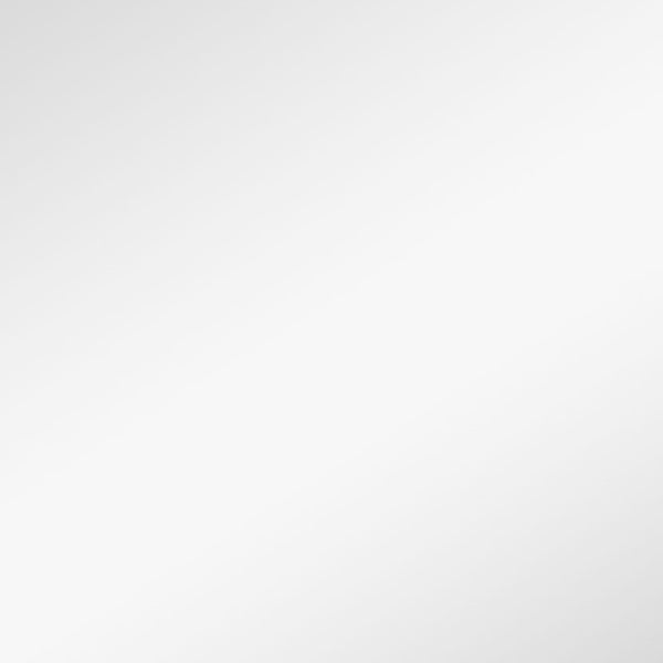 Homeroots Narrow Gold Rectangular Wall Mirror  Glass 397145