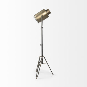 HomeRoots 61" Antiqued Gold Movie Set Floor Lamp - Vintage Industrial Design with Soft LED Illumination & Style 397601
