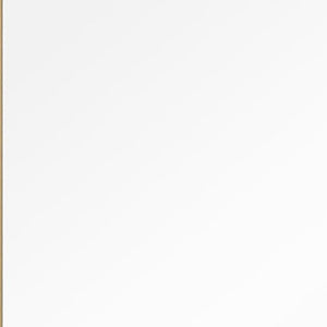 Homeroots 51" Gold Metal Framed Freestanding Standing Mirror  Glass 397707