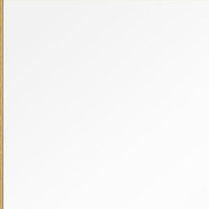 Homeroots 51" Gold Metal Framed Freestanding Standing Mirror  Glass 397707