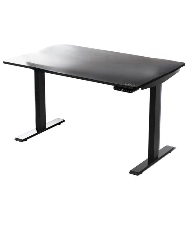 Homeroots 30" Adjustable Black Stainless Steel Standing Desk   397723