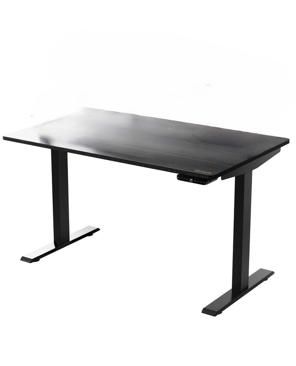 Homeroots 30" Adjustable Black Stainless Steel Standing Desk   397725