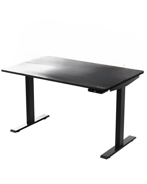 Homeroots 30" Adjustable Black Stainless Steel Standing Desk   397728