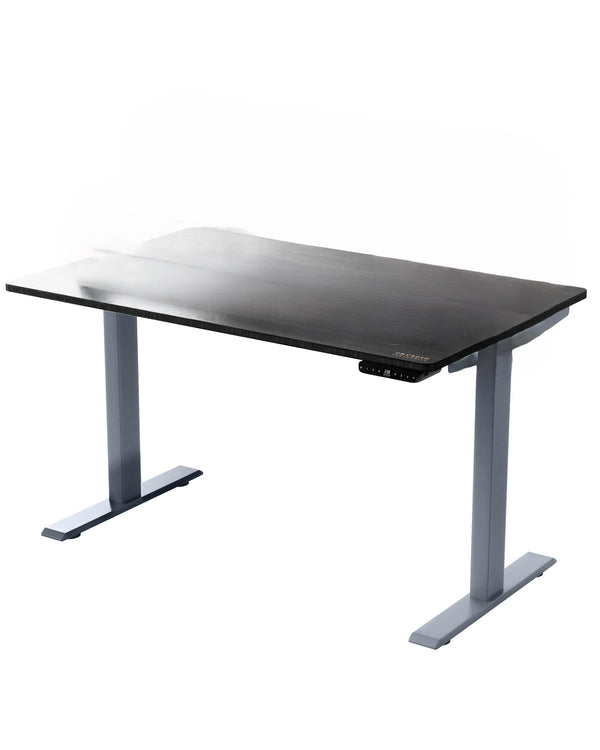 Homeroots Premier 45" Gray Dual Motor Electric Office Adjustable Standing Desk   397729
