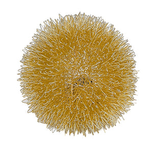 Homeroots Gold Metal Sunburst Accent Wall Lamp   397952