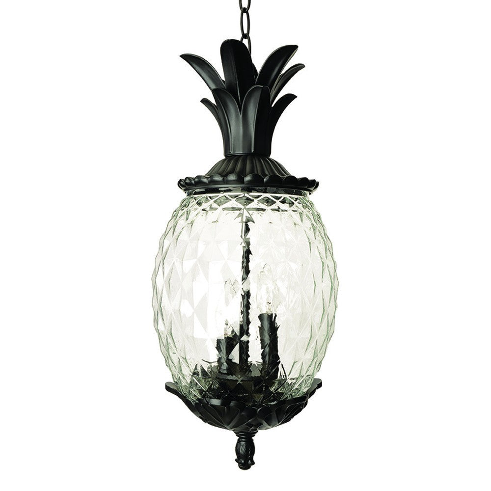 Homeroots Lanai 3-light Black Coral Hanging Light   398016