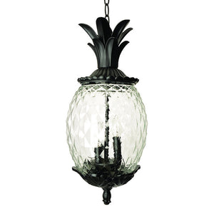 Homeroots Lanai 3-light Black Coral Hanging Light   398016
