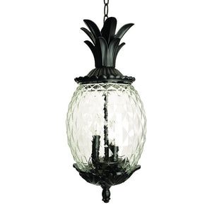 Homeroots Lanai 3-light Black Coral Hanging Light   398016