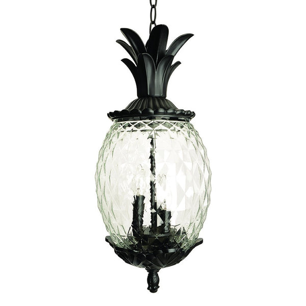 Homeroots Lanai 3-light Black Coral Hanging Light   398016