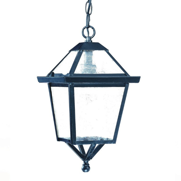 HomeRoots Matte Black Pendant Ceiling Fixture Industrial Style Hanging Lantern for Entryway 398018