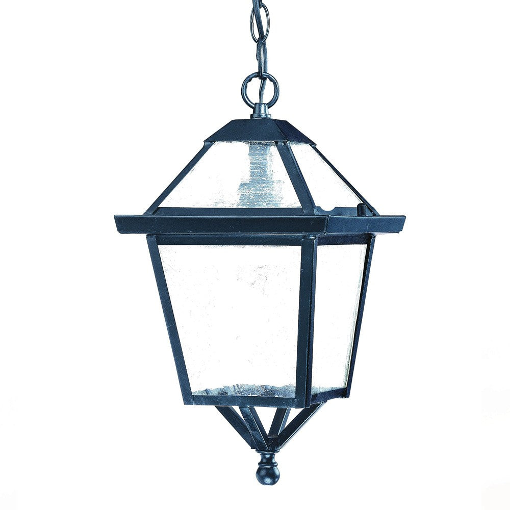 Homeroots Matte Black Hanging Lantern Light   398018