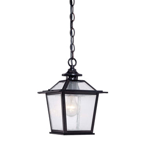Homeroots Matte Black Terrarium Shape Hanging Light   398031