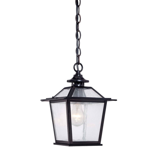 Homeroots Matte Black Terrarium Shape Hanging Light   398031