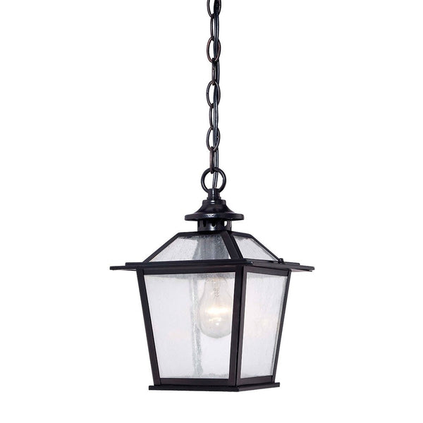 Homeroots Matte Black Terrarium Shape Hanging Light   398031