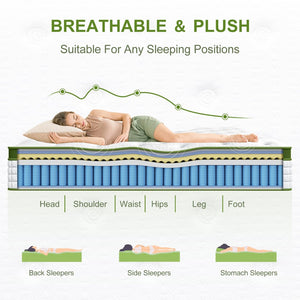 English Elm 12 Inch Queen Hybrid Mattress Gel Foam Pocket Coils Pressure Relief Cool Knit Cover B2716P242975