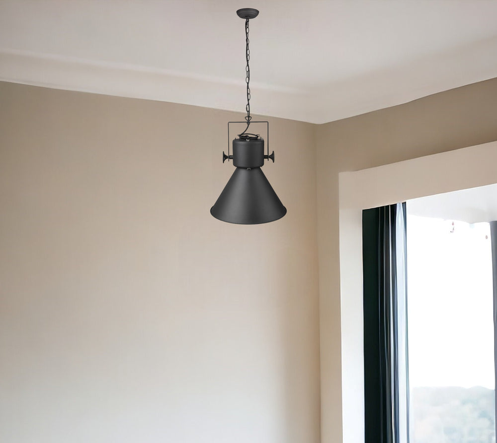 Homeroots Crew 1-light Matte Black Pendant   398265