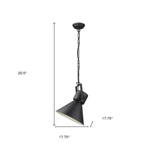 Homeroots Crew 1-light Matte Black Pendant   398265