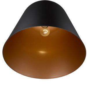 Homeroots Knell 1-light Matte Black Pendant   398289