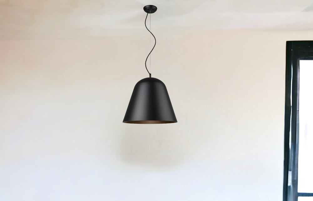 Homeroots Knell 1-light Matte Black Pendant   398289