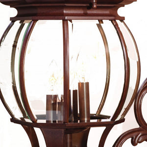 Homeroots Chateau 4-light Burled Walnut Wall Light   398386