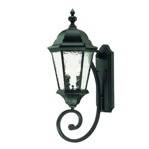 HomeRoots Two Light Matte Black Carousel Lantern Fixture for Outdoor or Entryway Walls 398396