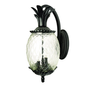Homeroots Matte Black Hanging Pineapple Wall Light   398404