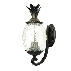 Homeroots Lanai 3-light Black Coral Wall Light   398405