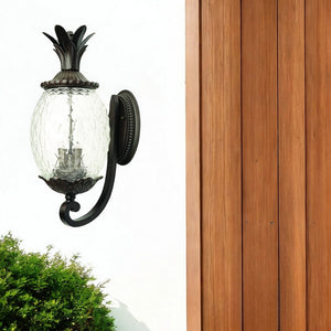 Homeroots Lanai 3-light Black Coral Wall Light   398405