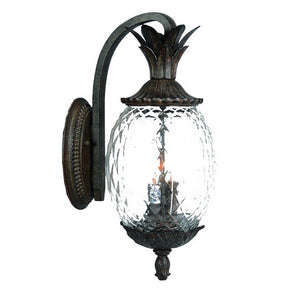 Homeroots Lanai 3-light Black Coral Wall Light   398407