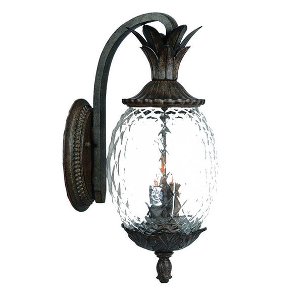 Homeroots Lanai 3-light Black Coral Wall Light   398407