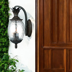 Homeroots Lanai 3-light Black Coral Wall Light   398407