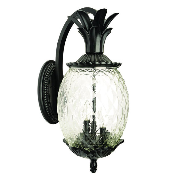 Homeroots Lanai 3-light Matte Black Wall Light   398408