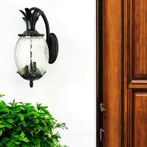 Homeroots Lanai 3-light Matte Black Wall Light   398408