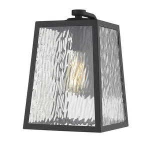 Homeroots Hirche 1-light Matte Black Wall Light   398477
