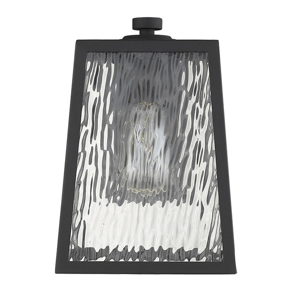 Homeroots Hirche 1-light Matte Black Wall Light   398477