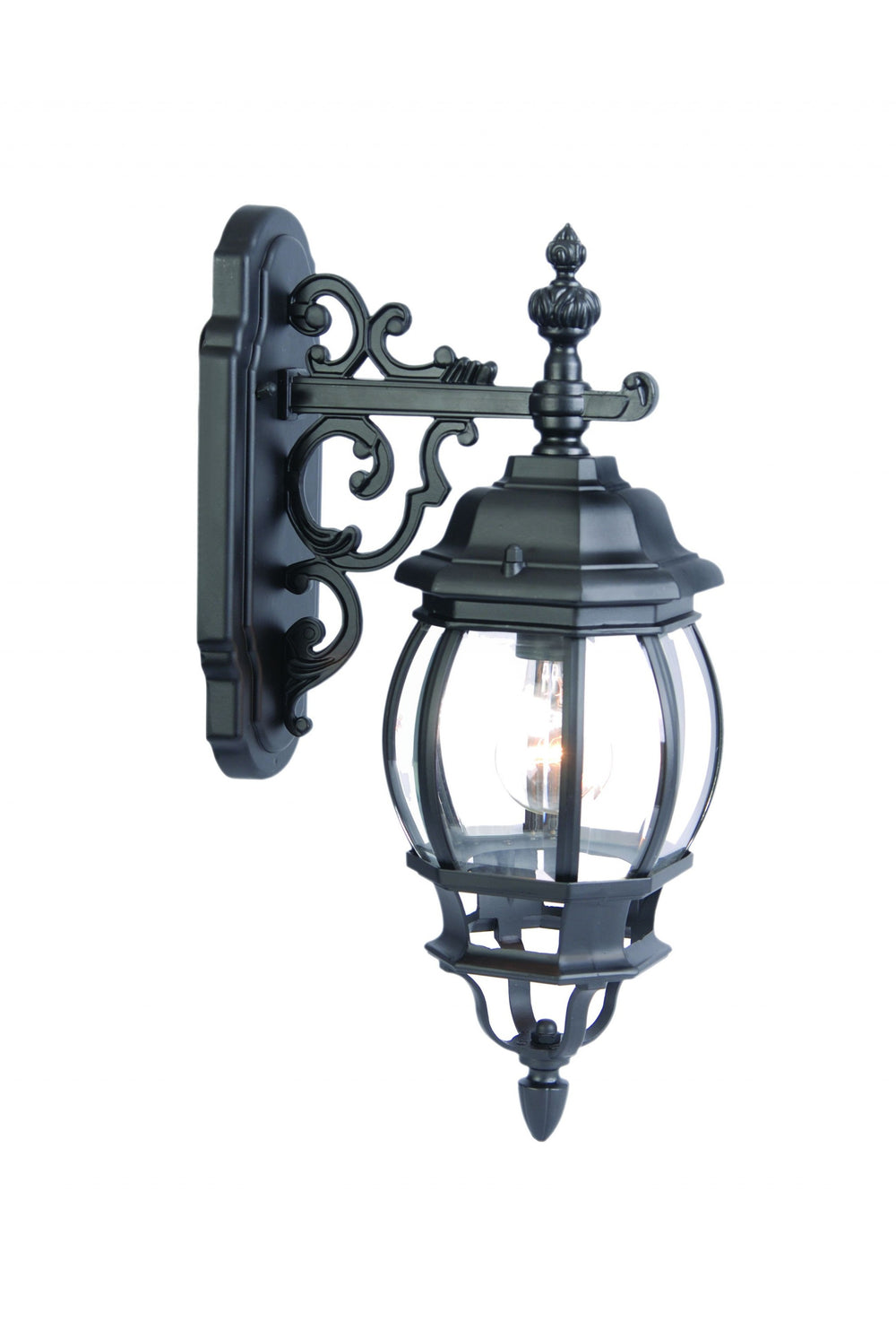 Homeroots Matte Black Hanging Glass Globe Wall Light   398580