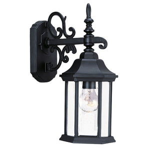 Homeroots Petite Matte Black Domed Hanging Glass Lantern Wall Light   398585