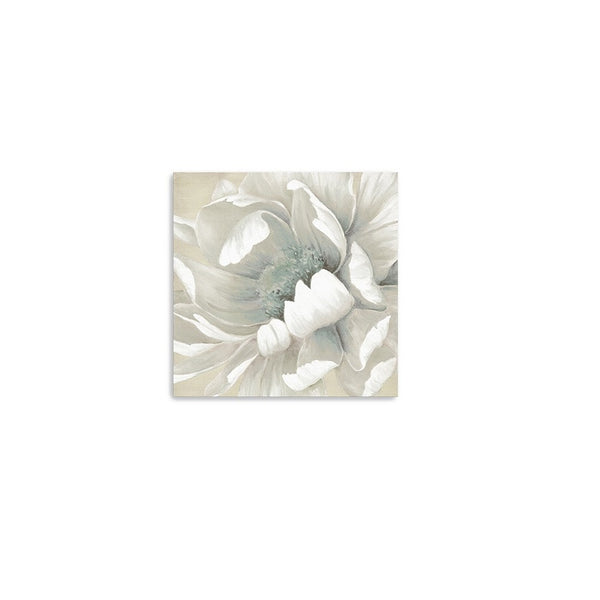 Homeroots Soft Winter Flower In Bloom Unframed Print Wall Art  Polyester 398852
